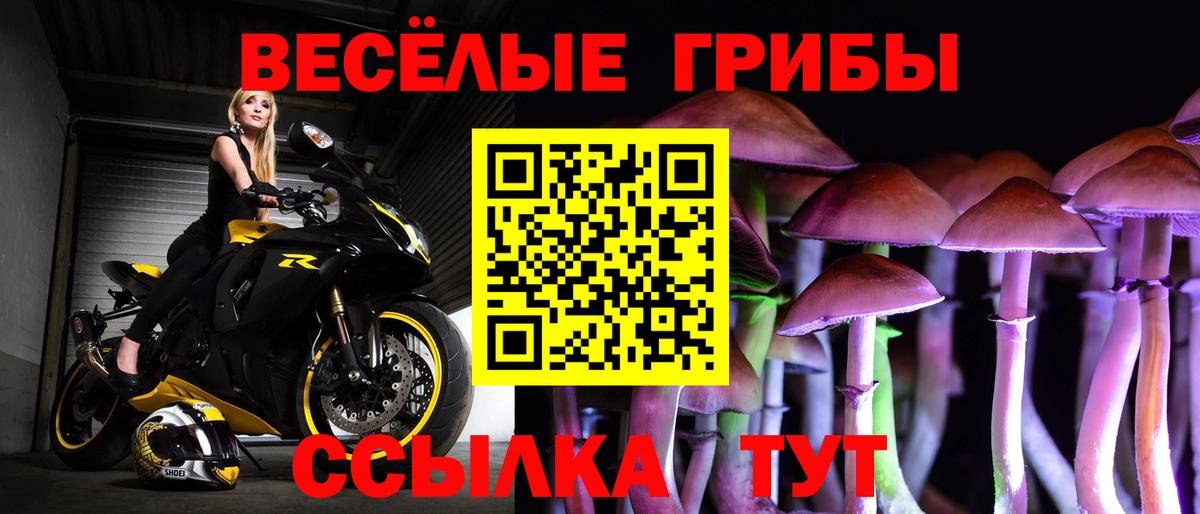 Ижевск  Галлюциногенные грибы GOLDEN TEACHER  Вход с VPN 